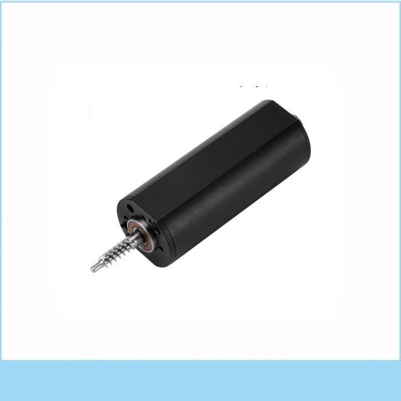 YLD-3050D012 Brushed DC Motor